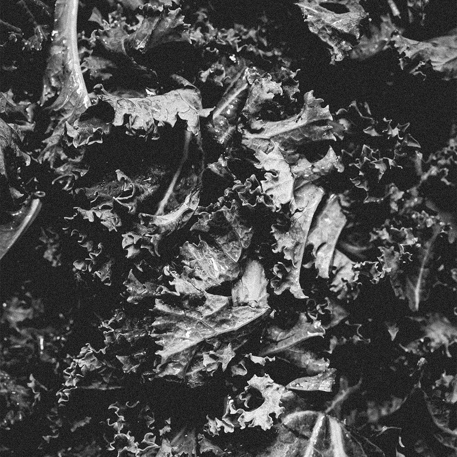Piles of fresh kale vegetable in black and white